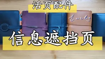 Download Video: 【Lucky's 手账】活页本中的信息遮挡页