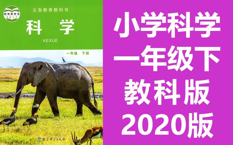 [图]小学科学 一年级科学下册 教科版 科学1年级科学 我们周围的物体 发现物体的特征 谁轻谁重 认识物体的形状 给物体分类 观察一瓶水 它们去哪里了