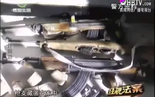 Download Video: 三人持自动步枪射杀野牦牛盈利，搜出大量制式步枪弹