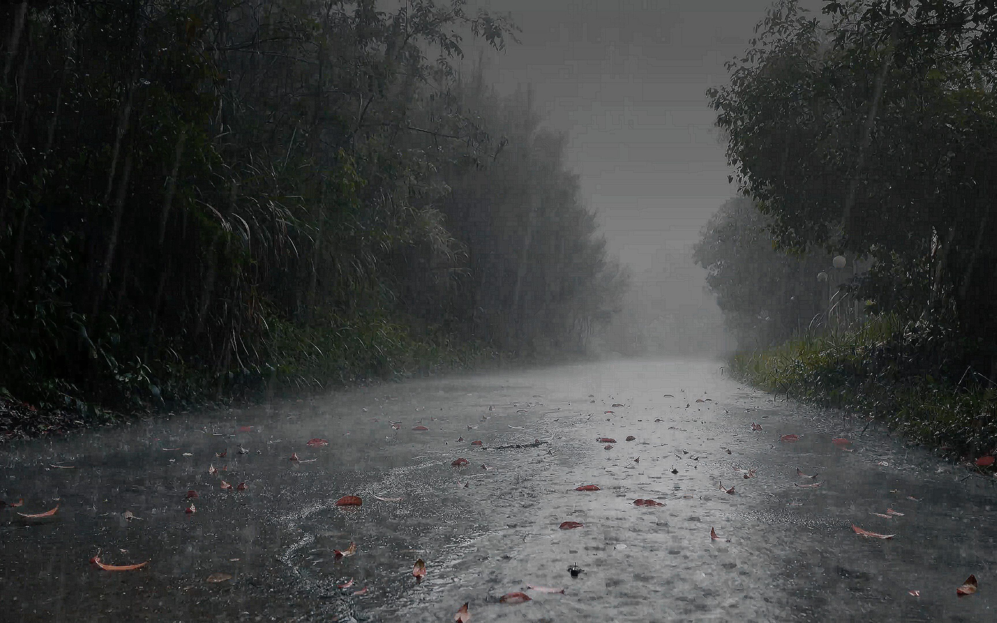 [图]✅【狂风+暴雨+雷暴】让你远离失眠，放松睡眠！白噪音睡眠雷雨声自然音乐！学习，读书，真实雷声和雨声，#助眠，睡觉，#bgm，音效，#冥想，#PTSD，睡眠音乐