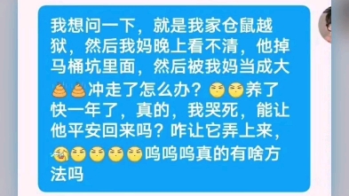 表白墙系列最终版,没活了,兄弟们,江郎才尽了哔哩哔哩bilibili