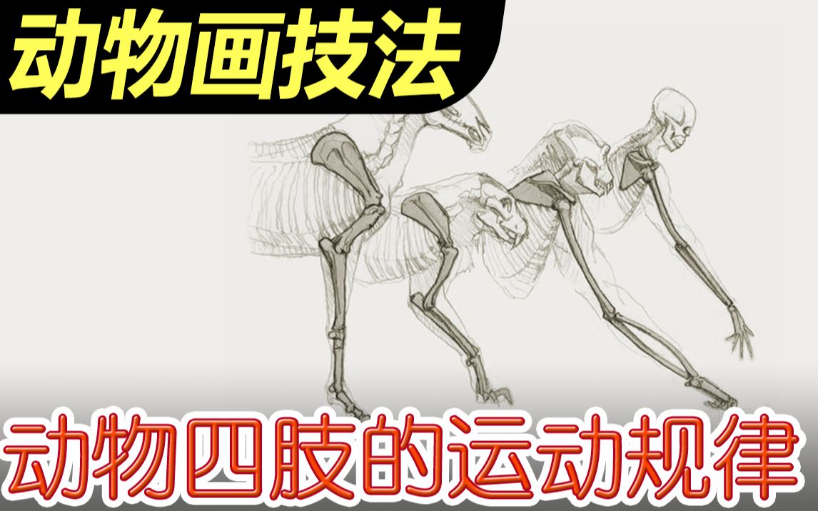 动物四肢在运动时有何特征?如何刻画运动的动物?动物画技法04哔哩哔哩bilibili