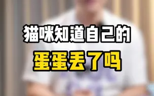 Download Video: 猫咪知道自己的蛋蛋丢了吗？