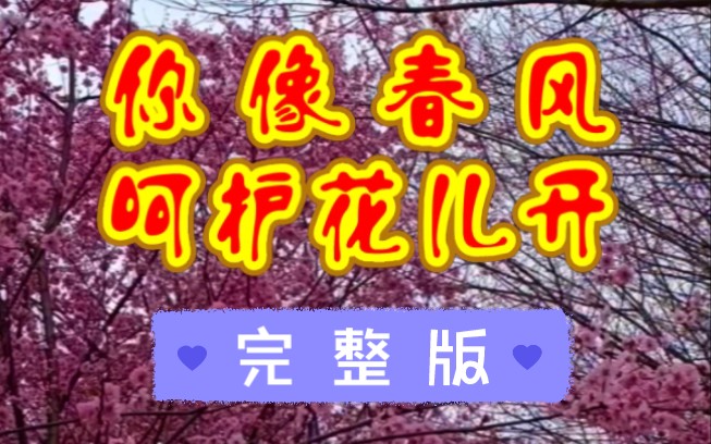 [图]情歌对唱《你像春风呵护花儿开》