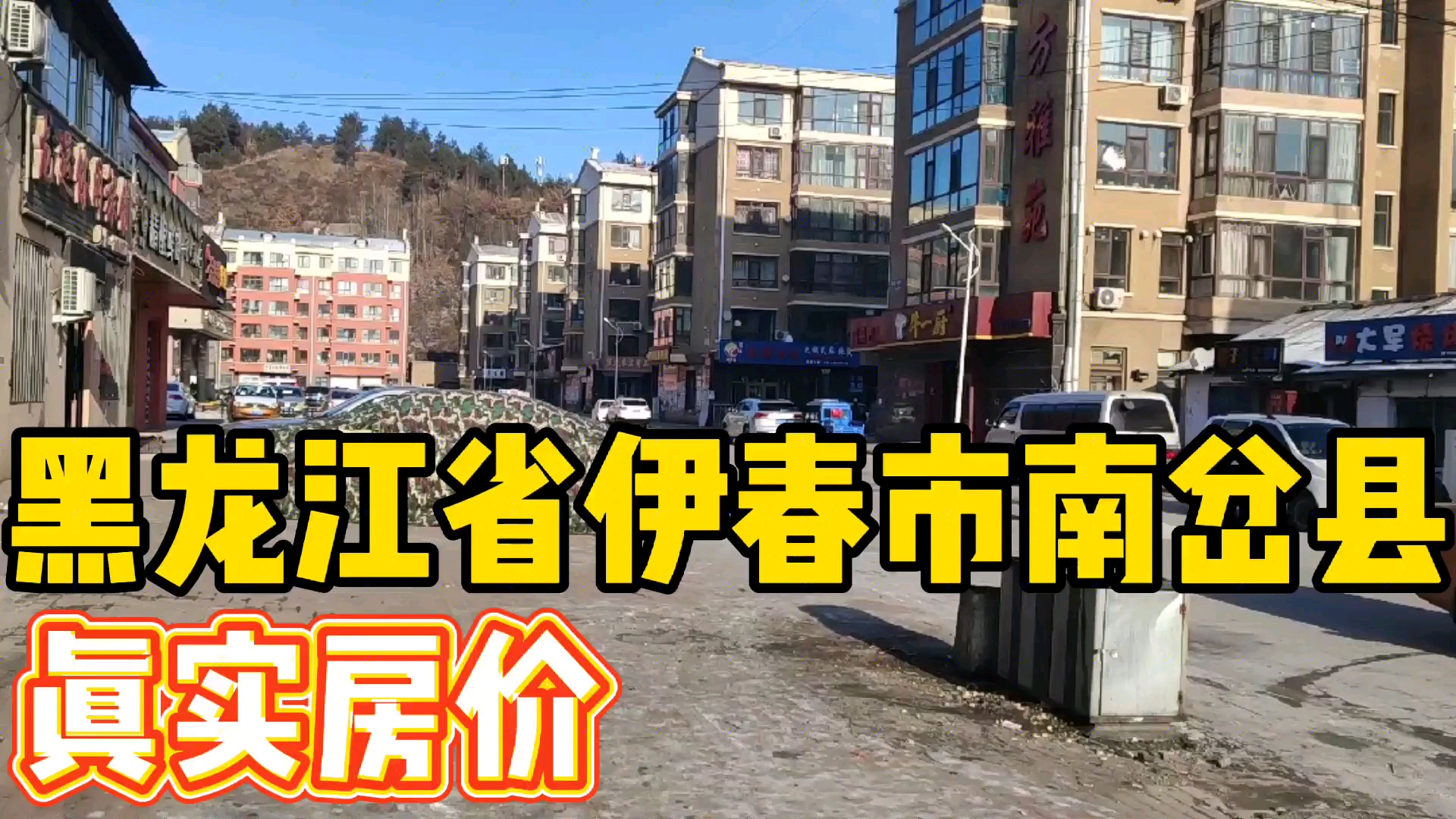 鹤岗市伊春市南岔县真实房价,现场访问老百姓,以买房者身份打电话哔哩哔哩bilibili