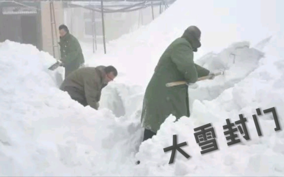 2021年11月8日,一夜之间大雪封门,东北的雪太大了哔哩哔哩bilibili