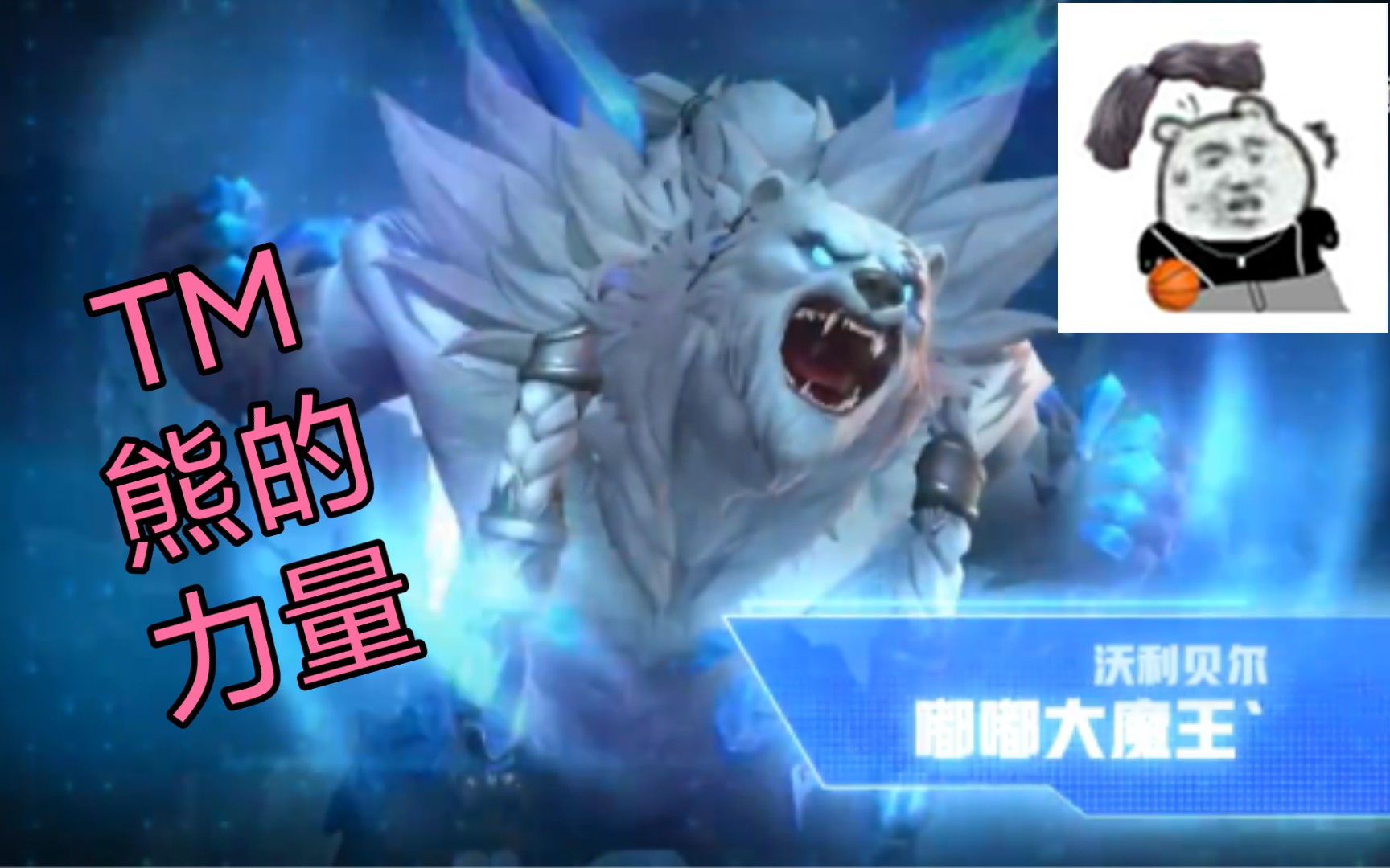 tm熊的力量