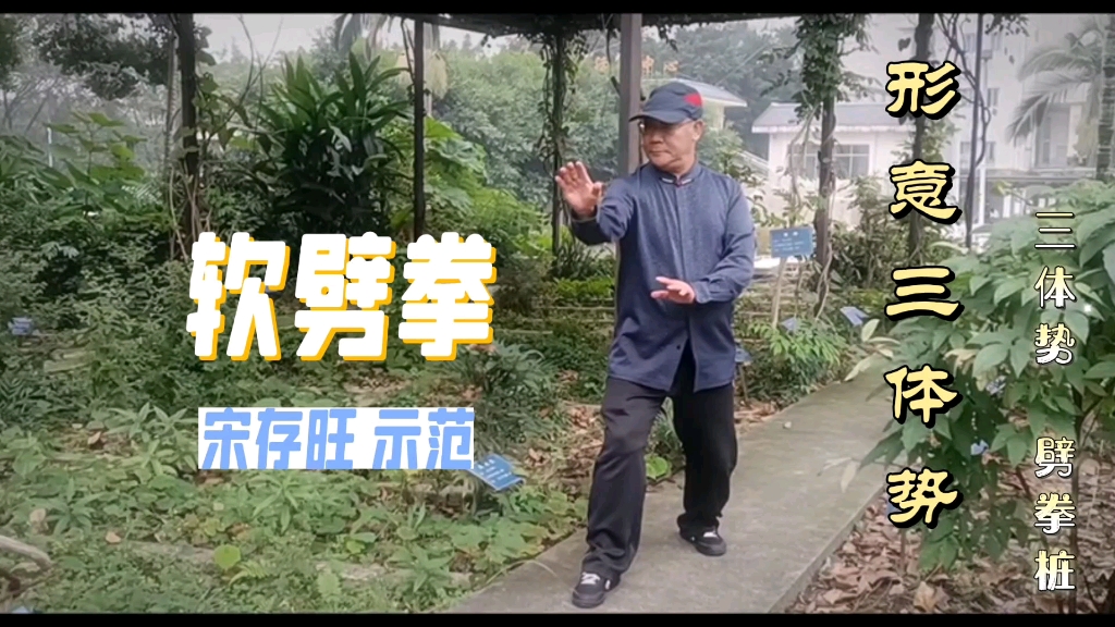 軟劈拳 形意拳三體勢 劈拳樁#宋存旺先生示範#李桂昌武學傳人#董門