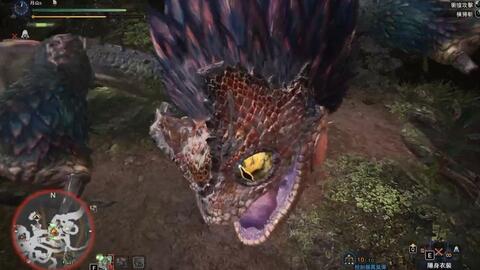 Mhw 大剑大凶豺龙无防具ta 开荒6星猫车怪物猎人世界中分哥 哔哩哔哩