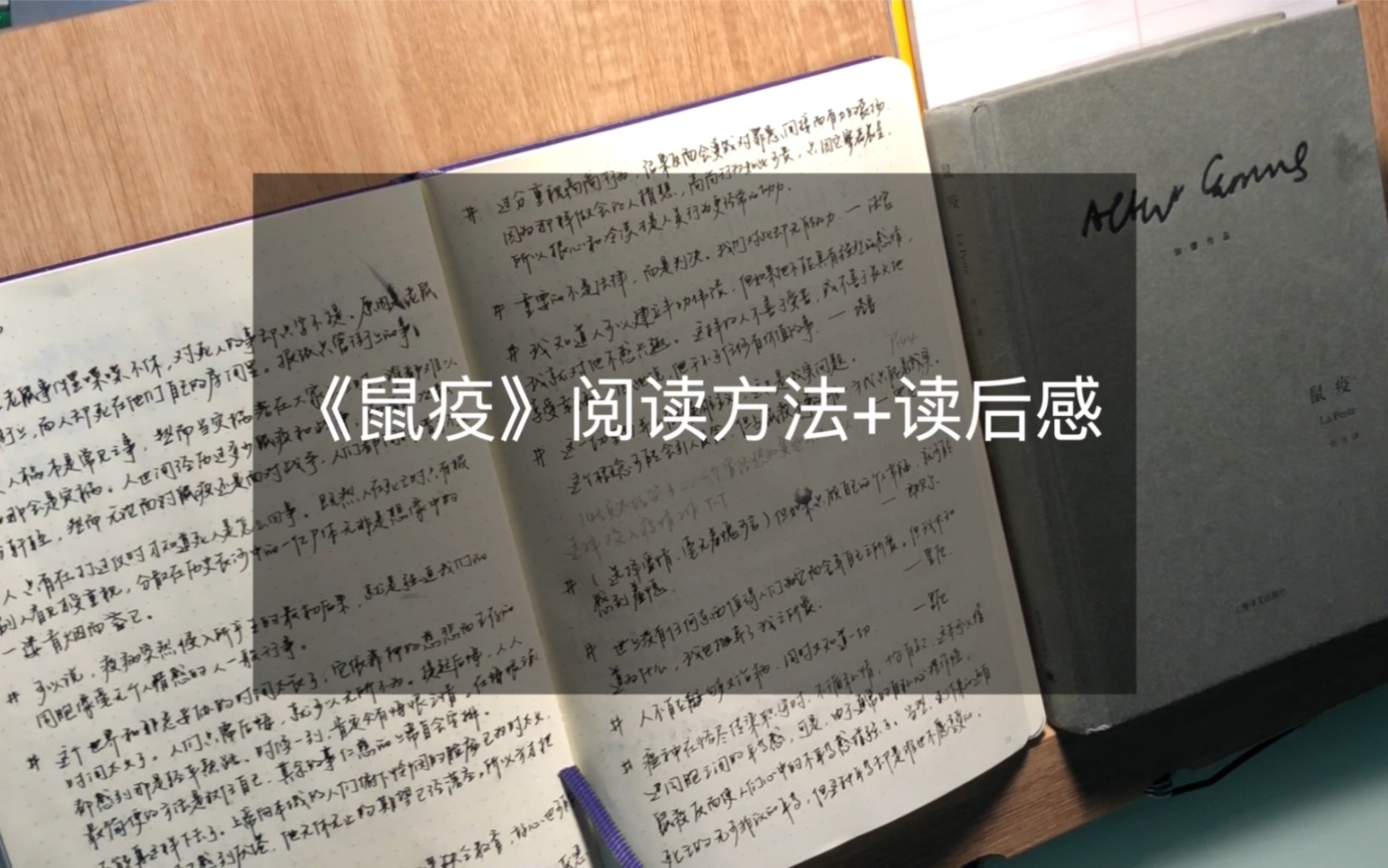 「高高爱胶带」加缪《鼠疫》读后感及阅读方法哔哩哔哩bilibili