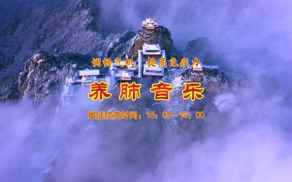 音药丨养肺音乐梳理肺气提高机体免疫力