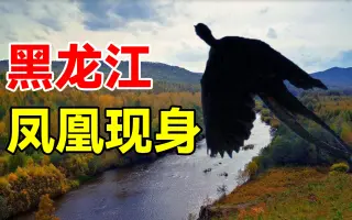 真庭凤凰 搜索结果 哔哩哔哩 Bilibili