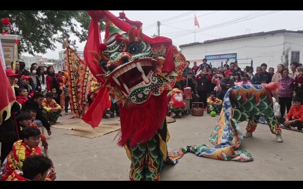 海丰新義英舞狮团正月十五在陆丰南塘黄竹坑汇演游神.