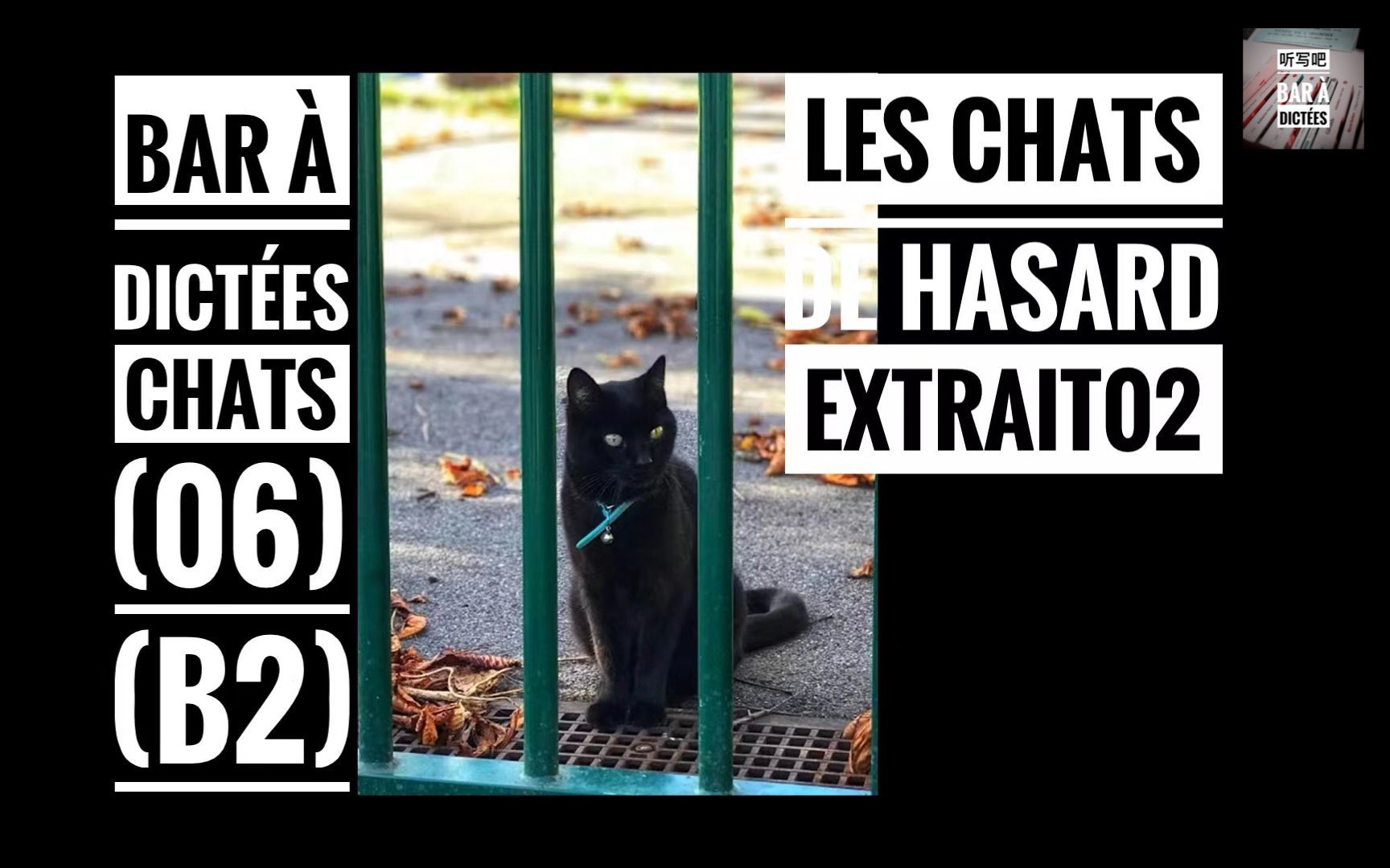 [图]【听写吧·B2】Dictée.Chats.06_《偶遇的猫》节选｜Les chats de hasard.E02