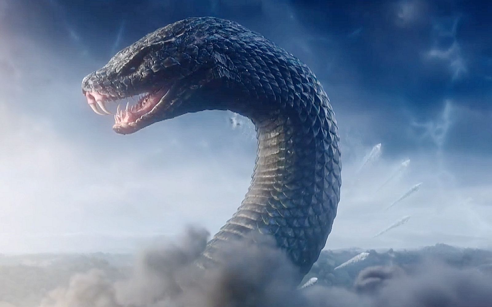 哔哩哔哩_bilibili