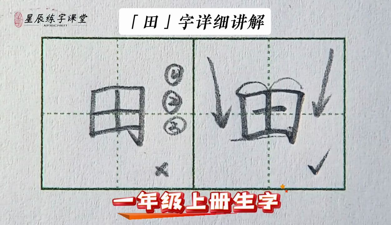 【田】字详细讲解,孩子在家轻松练字!哔哩哔哩bilibili