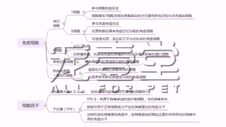 【执业兽医资格证考试】执兽考试干货知识点来啦!哔哩哔哩bilibili