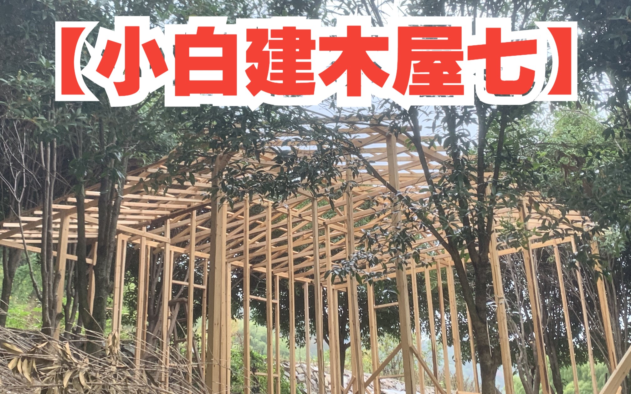 新手小白建木屋7:全屋骨架(下).加固各个立柱,小木屋的骨架基本完工,现在能看出大概的样子咯哔哩哔哩bilibili