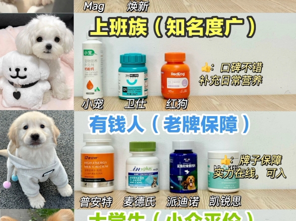 不看包亏!热门宠物钙片做功课才靠谱!哔哩哔哩bilibili