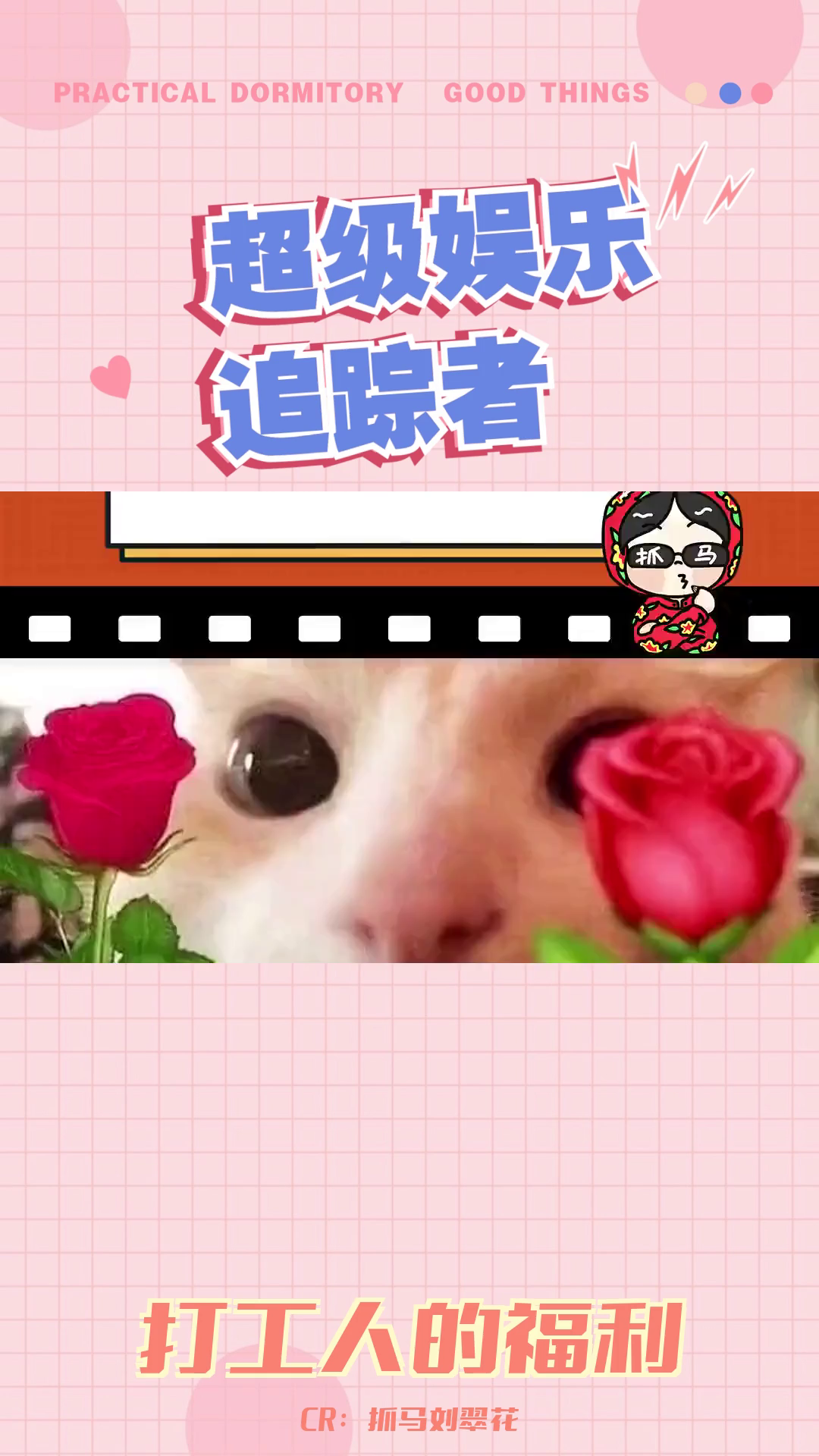 好公司在哪里?这种公司都在网上才看得到!哔哩哔哩bilibili