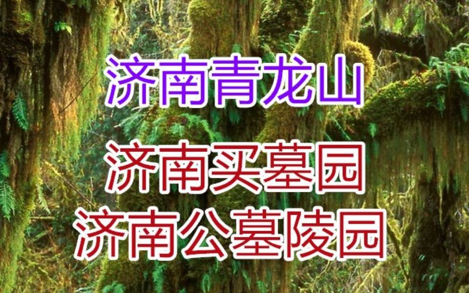 青龙山简介,济南墓地价格一览表哔哩哔哩bilibili