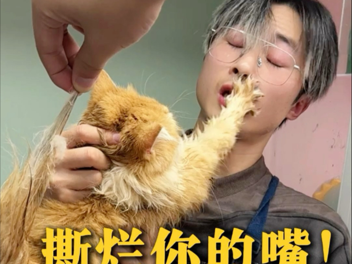 一听说他在别的地方洗不了，我就知道来大活了海报