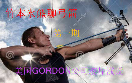 竹本氷熊聊弓箭第一期(美国GORDON公司玻璃纤维品与国产玻璃纤维片比较浅说)哔哩哔哩bilibili