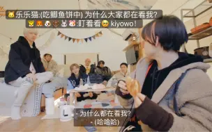 Download Video: 🐱乐乐:(吃鲫鱼饼中)为什么大家都在看我? kiyo!🥺