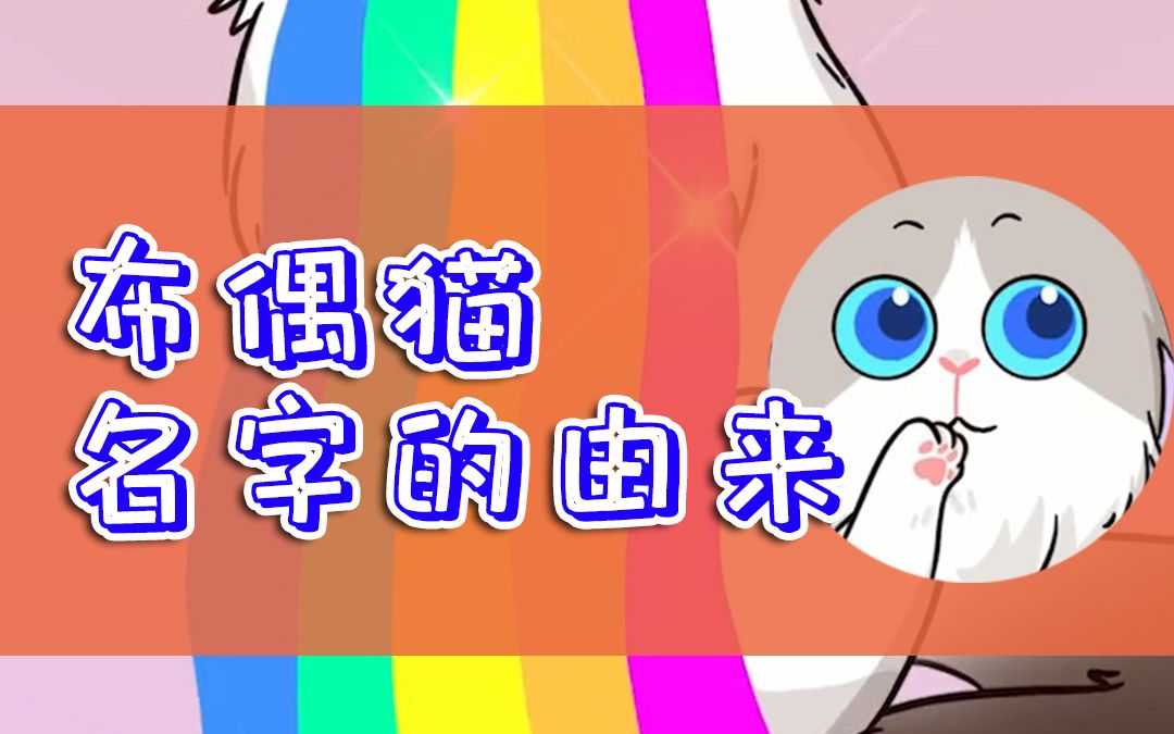 布偶猫名字的由来,是因为彩虹吐多了哔哩哔哩bilibili