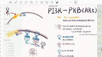 Download Video: 自用复盘：PI3K-PKB(akt)信号通路