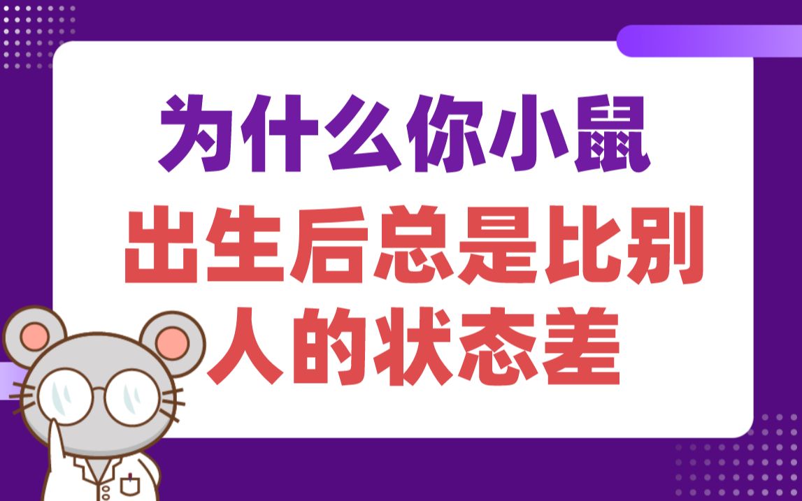 没做好这3点,小鼠出生“活不久” !哔哩哔哩bilibili