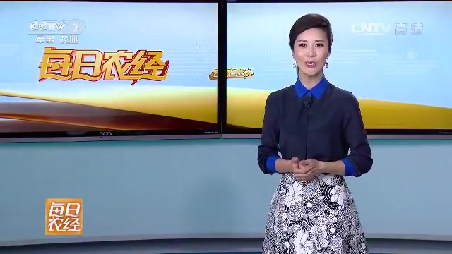 [图]《每日农经》赶早上市的蓝莓价格高 20170526