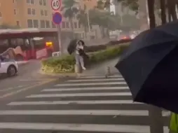 北京暴雨，南锣鼓巷，古树都被吹到了，