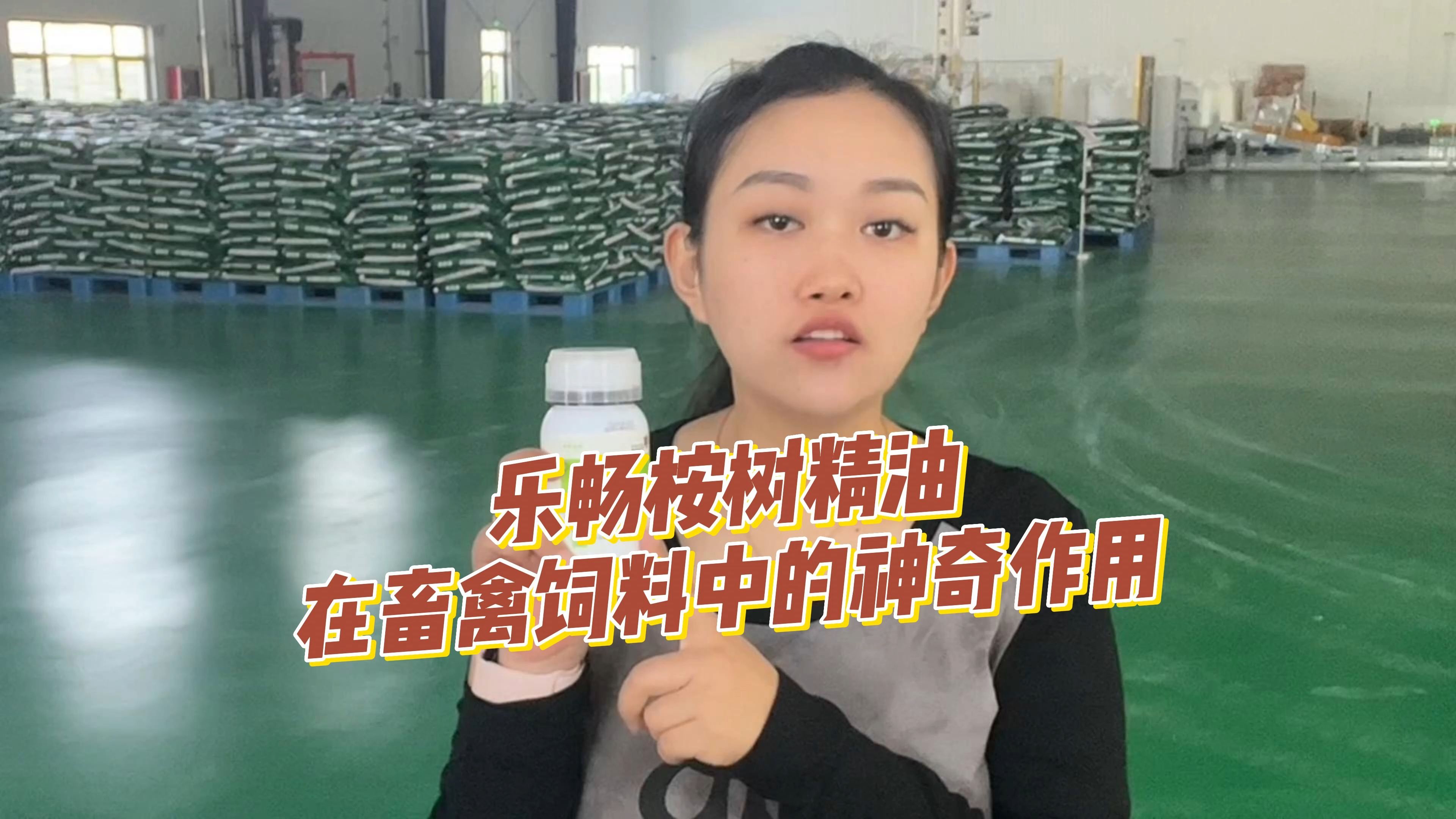 乐畅桉树精油 畜禽水产饲料的新选择 菌虫双抗 助力健康养殖 乐畅桉树