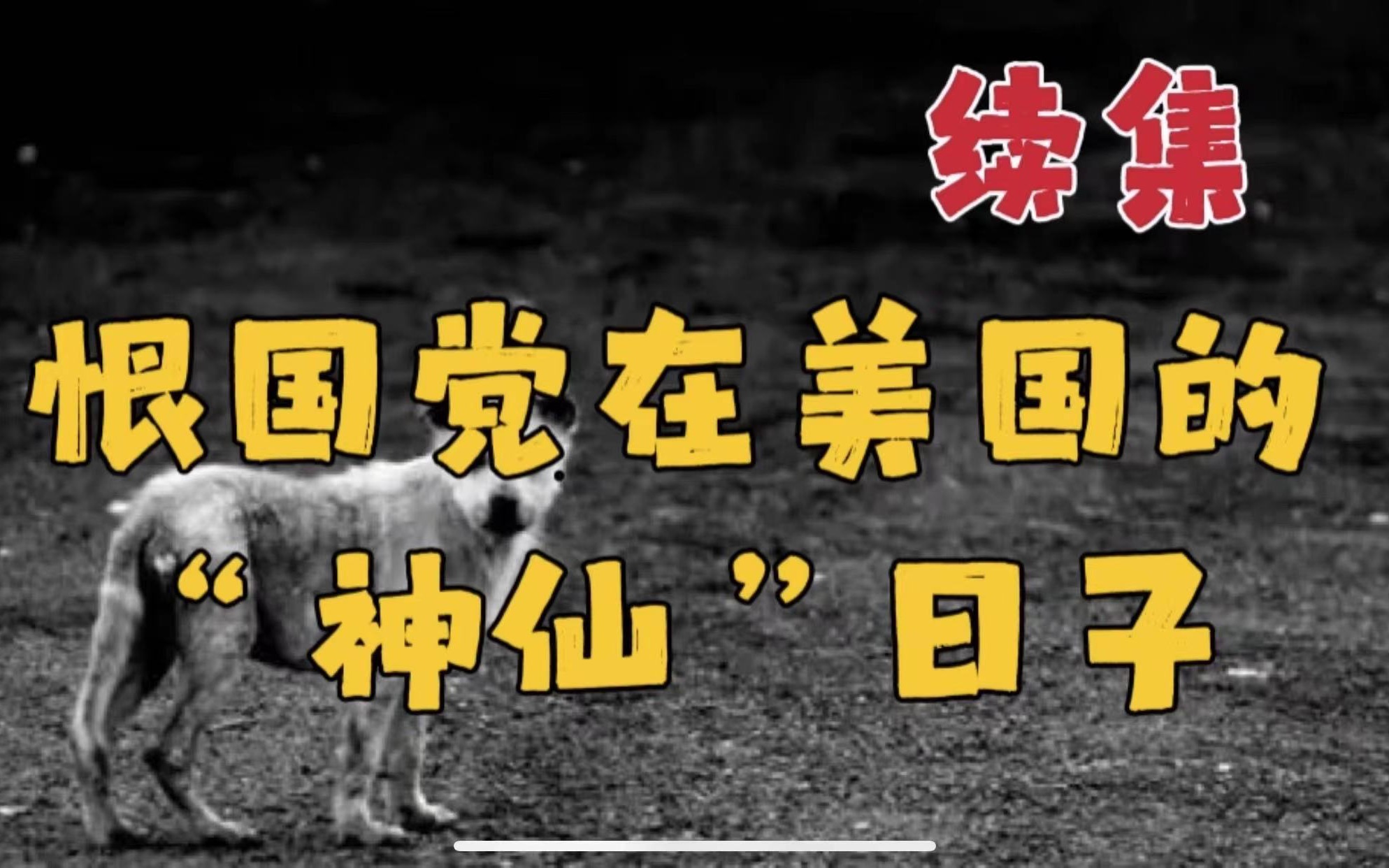 续:恨国党在美国”神仙“般的生活:踩2手自行车吃2手垃圾箱食物:靠药物入睡:吃中餐成了奢望哔哩哔哩bilibili