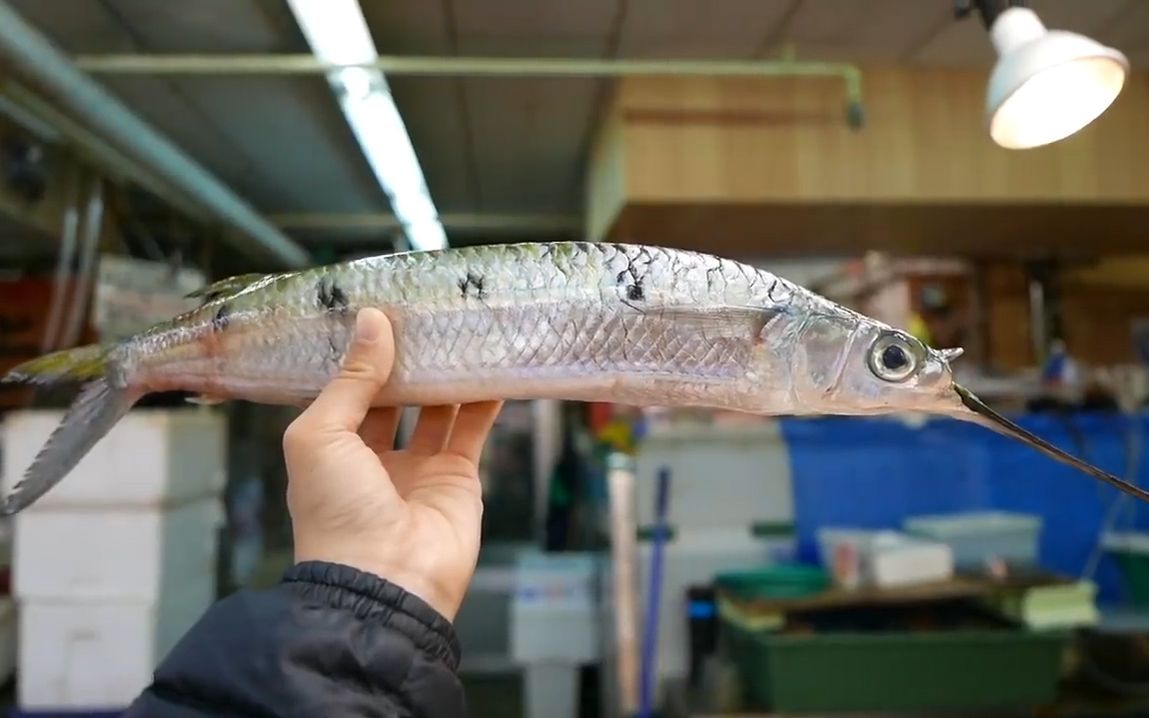 【睡前美食】看起來很好吃的水針魚,用日本街頭燒法