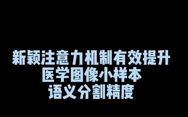 新颖注意力机制,有效提升医学图像小样本语义分割精度人工智能哔哩哔哩bilibili