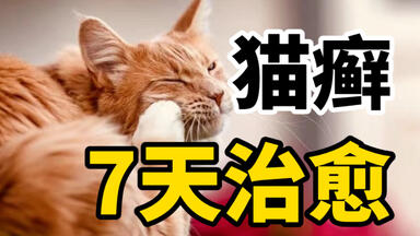 <em class="keyword">猫癣</em>最快7天治愈！成本百元搞定！