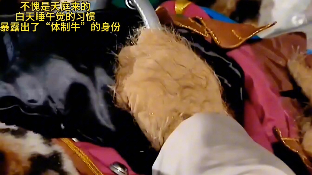 西游记里面最划水的妖怪