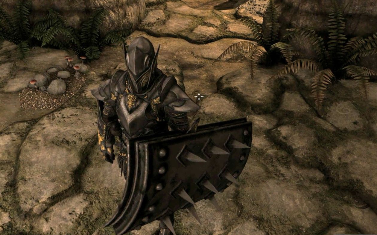 重装.尖钉塔盾(上古卷轴5)