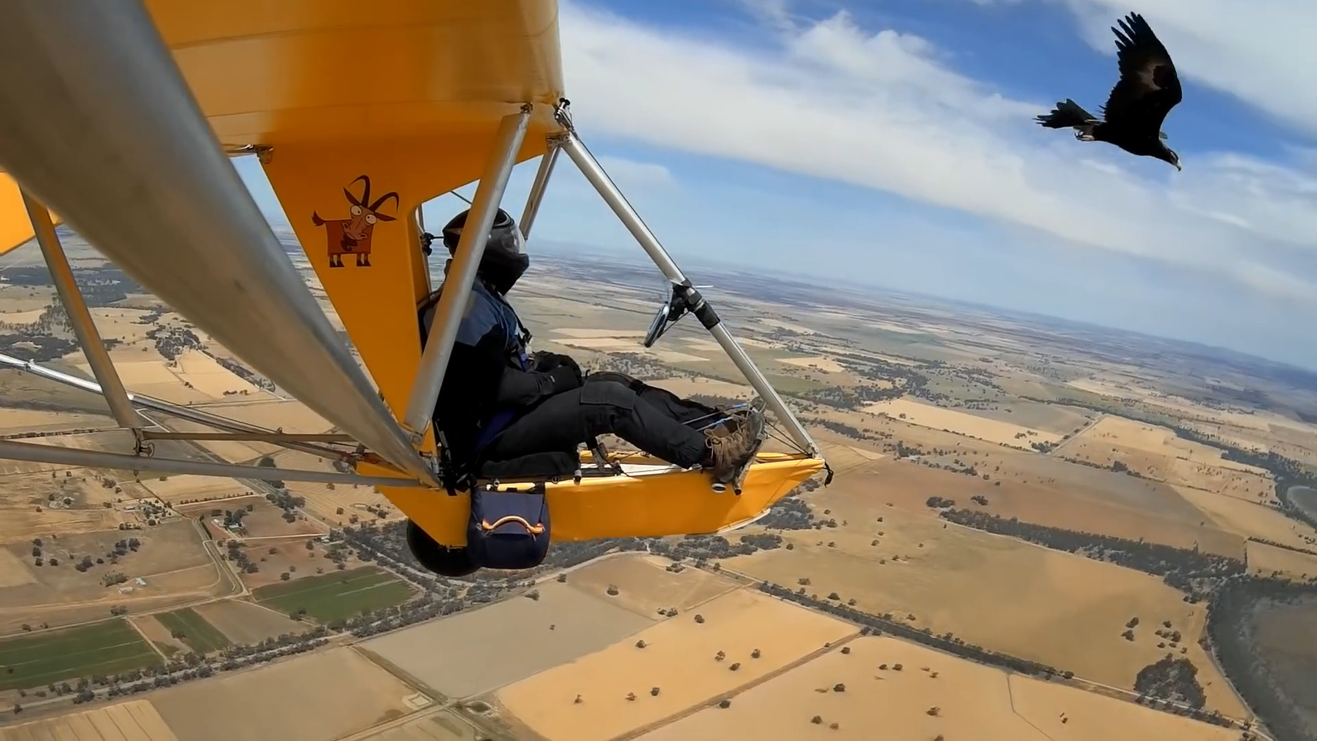 男子乘坐滑翔机,竟偶遇一只老鹰,老鹰的举动让人发笑!