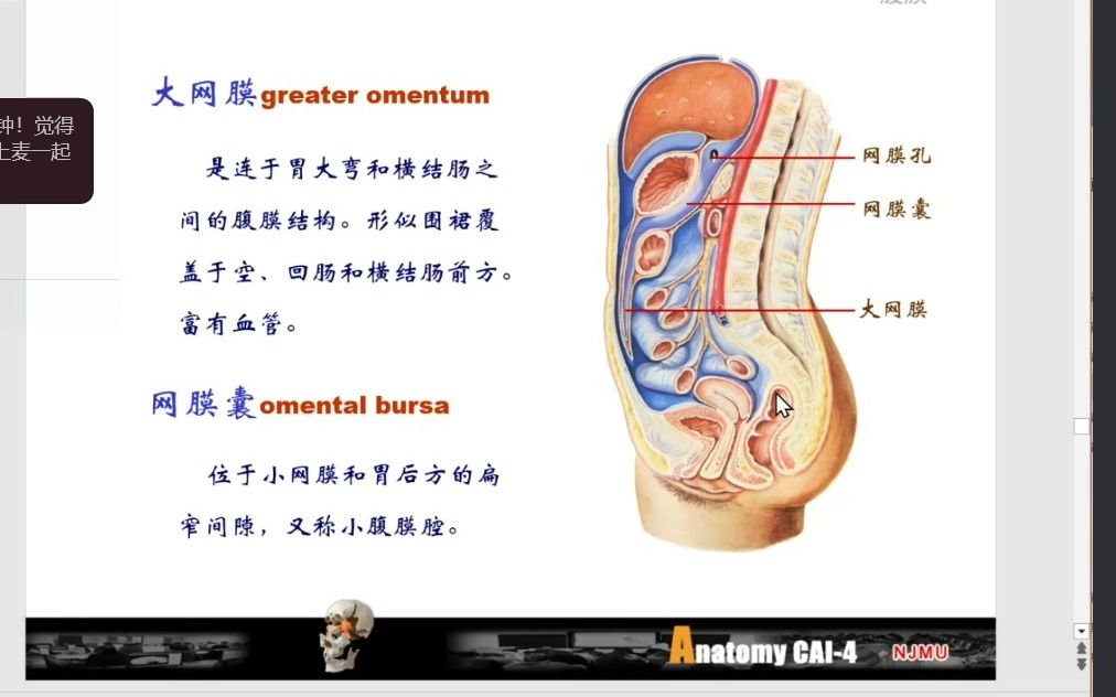 系解重点哔哩哔哩bilibili