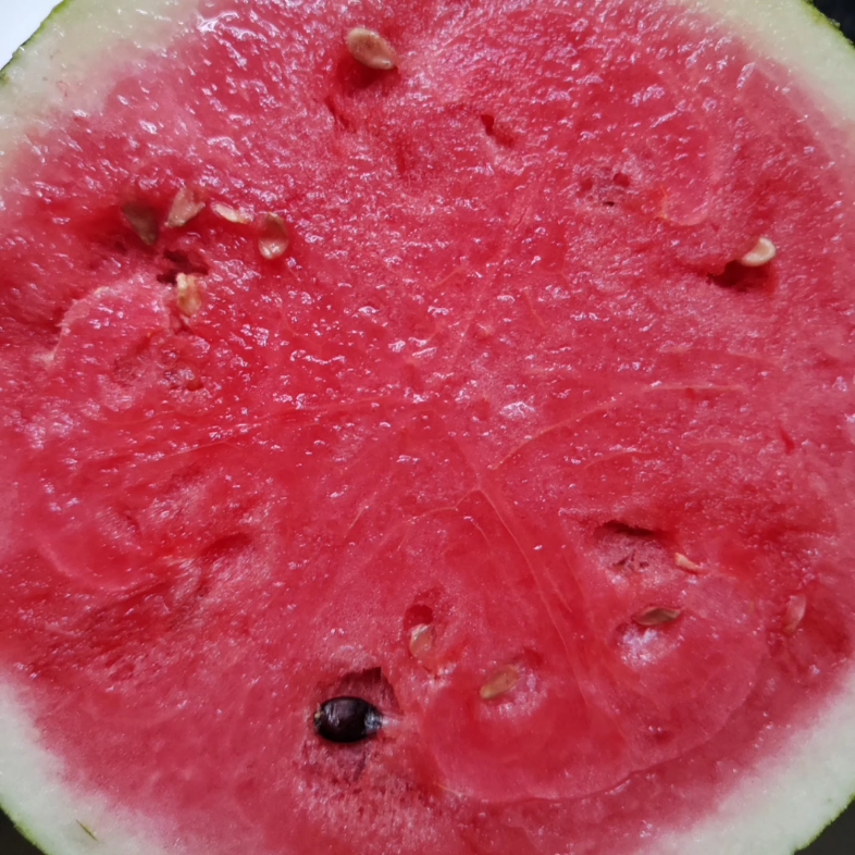 没有抱着半个西瓜用勺挖着吃的夏天是不完整的