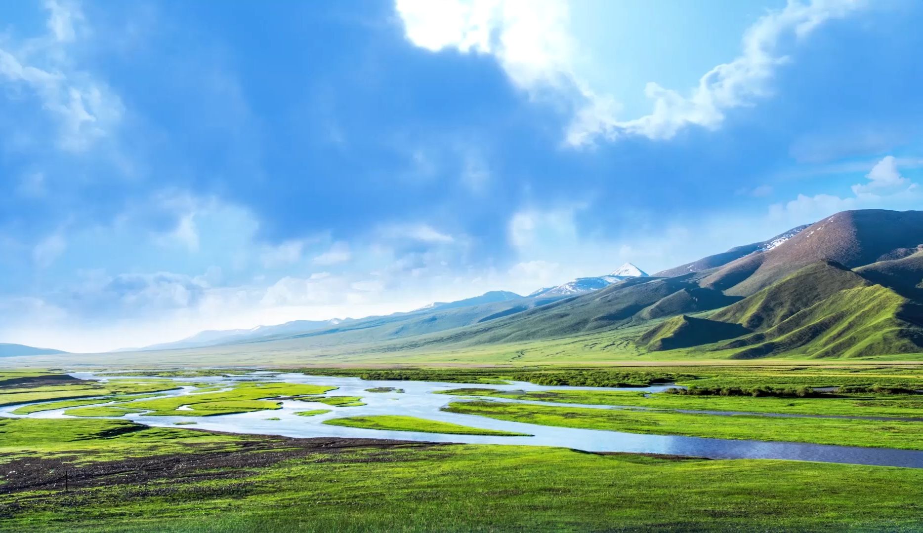 [图]〖无水印〗《美丽的草原》骏马奔驰 豪迈洒脱 背景 1048