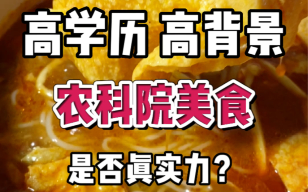 高学历高背景!教授研究的美食是不是真实力派?!哔哩哔哩bilibili