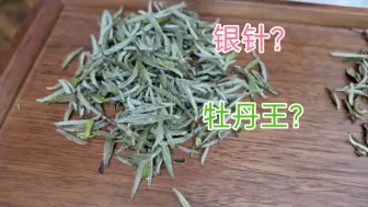 你就说这玩意到底是不是银针吧！新茶白牡丹来了，非常有转化潜力！