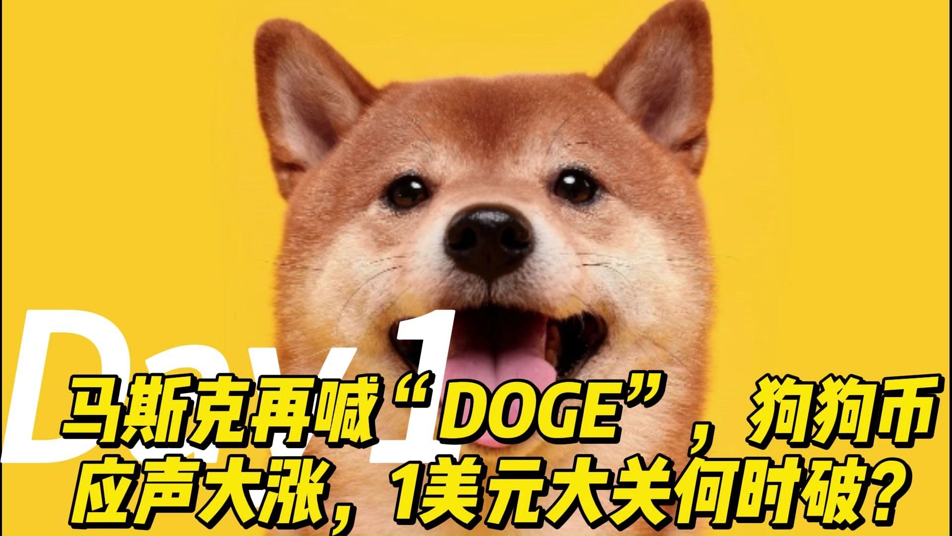 马斯克再喊“DOGE”,狗狗币应声大涨,1美元大关何时破?哔哩哔哩bilibili