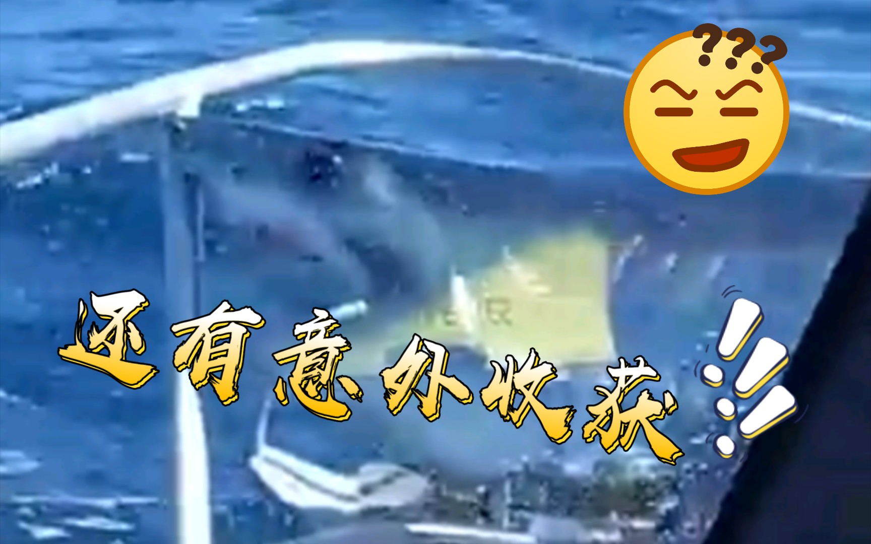 出门海钓 还有意外收获?