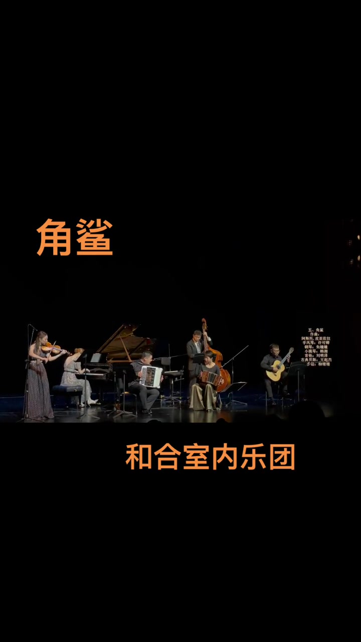 探戈舞蓉城,中国阿根廷建交50周年 巴扬手风琴 演出现场 手风琴 和合