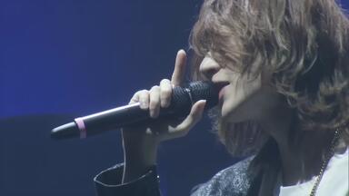 7 MEN 侍 LIVE 2024 and JOY！｜ジュニア｜Storm Labels